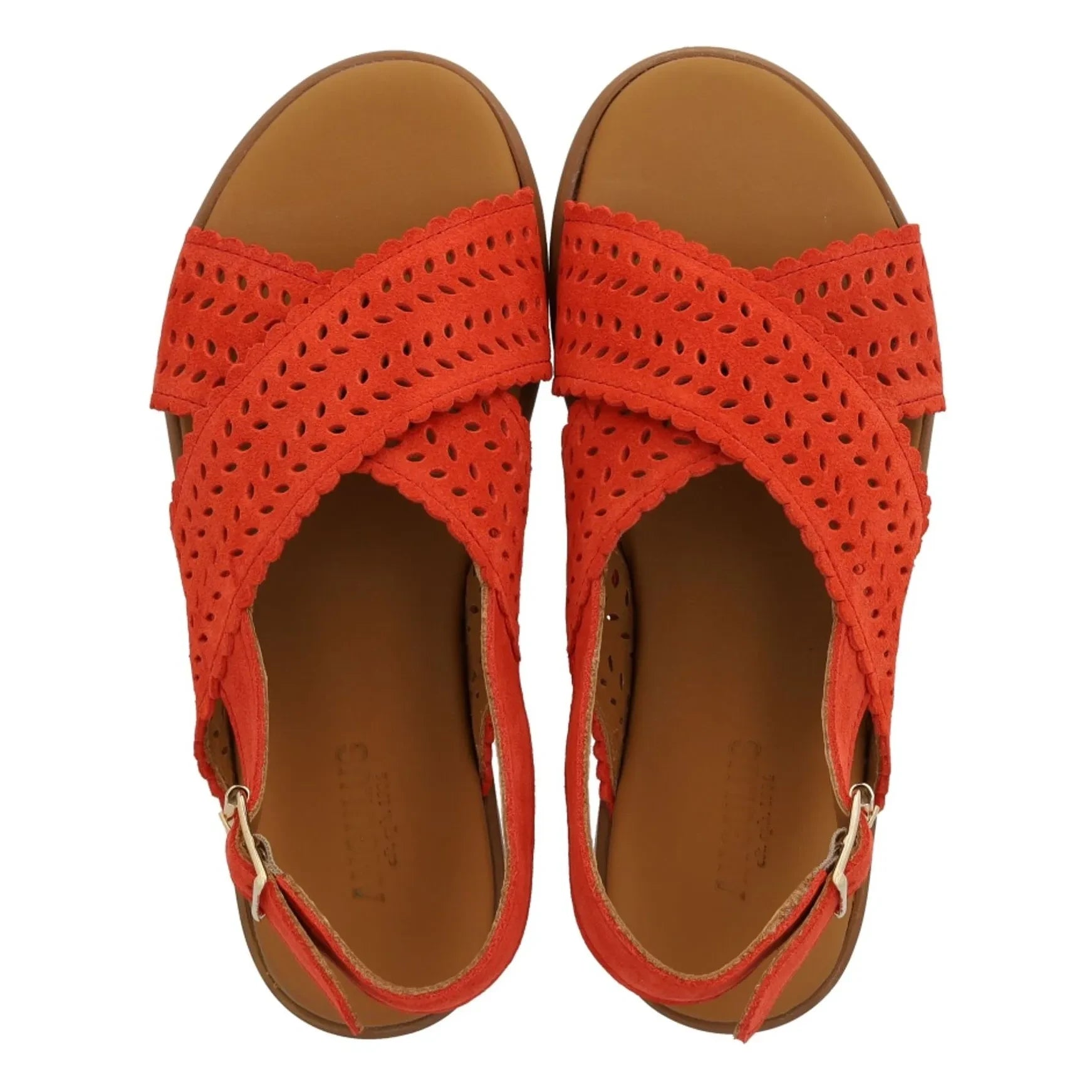 Angulus - Feston Cross Wildleder Sandalen | Koralle