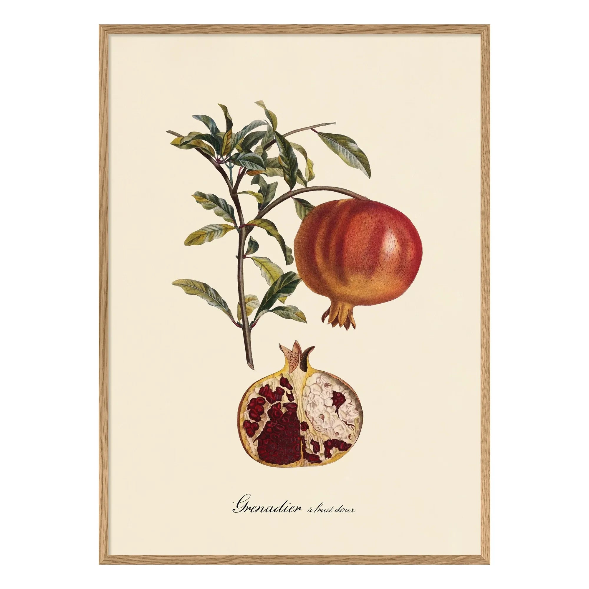 The Dybdahl Co. - Sweet Fruity Grenadier Poster