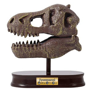 Buki - Archäologie-Set - Museums-Dino-Schädel