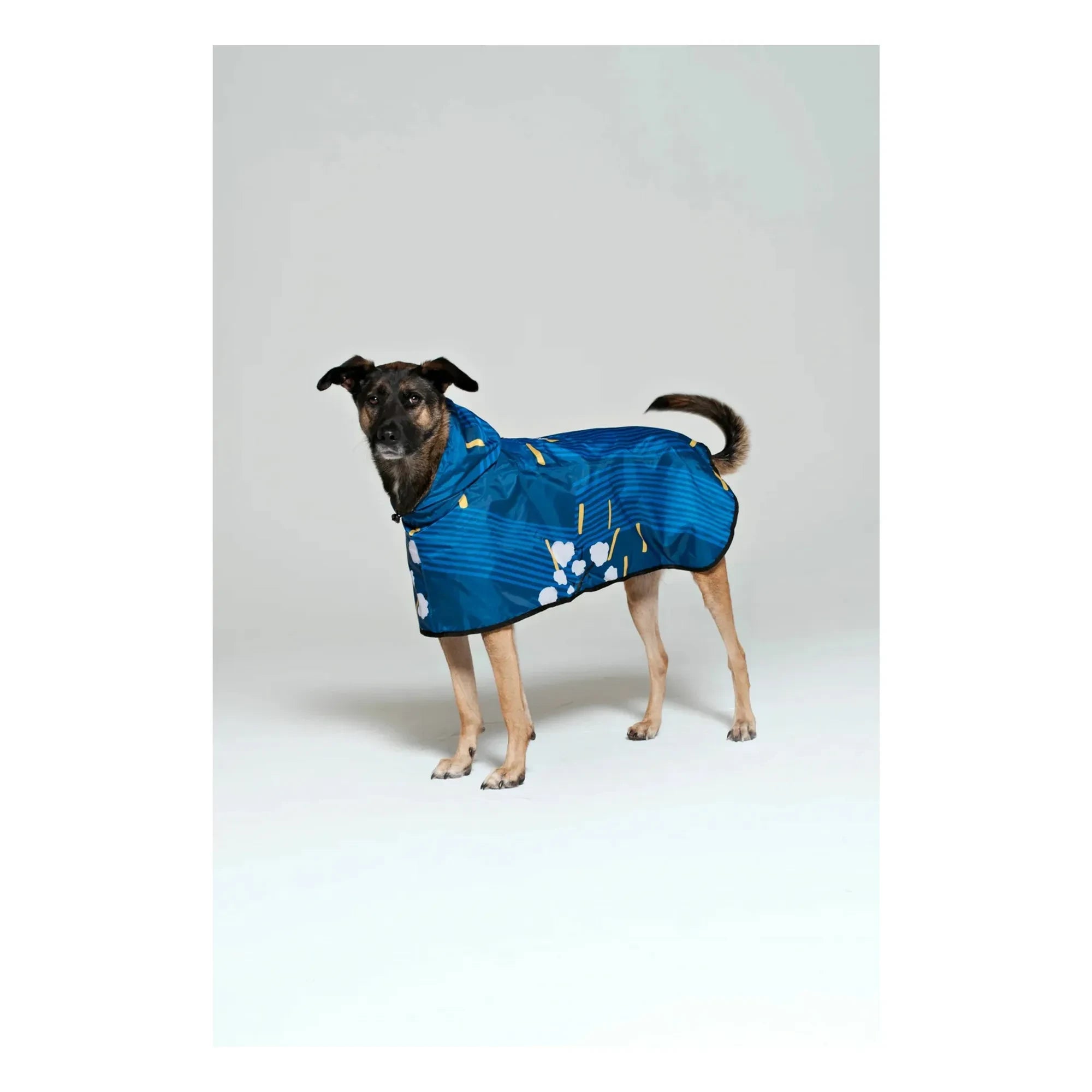 Rainkiss - Japanese Blossom Su Geçirmez Köpek Pelerini | Mavi