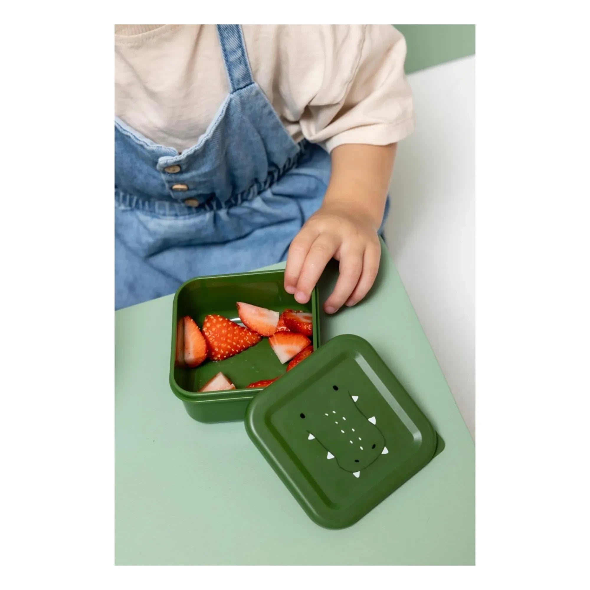 Trixie - Mr. Alligator 3-Piece Snack Box | Green