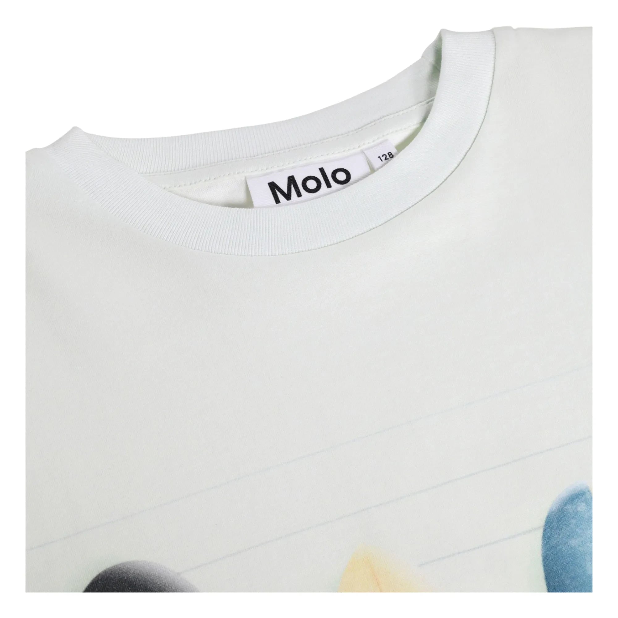 Molo - Riley T-Shirt Surfboards Bio-Baumwolle | Hellblau