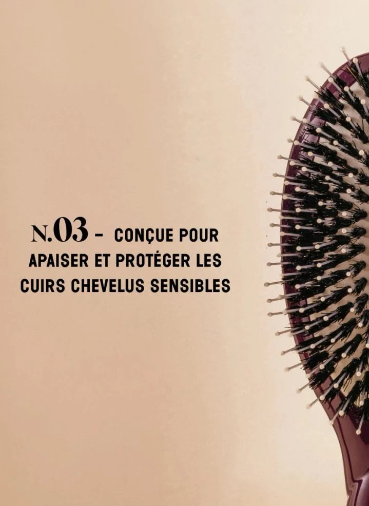 La Bonne Brosse - "L'Indispensable Douceur" Saç Fırçası No. 03 - Hassas Saç Derisi | Patlıcan