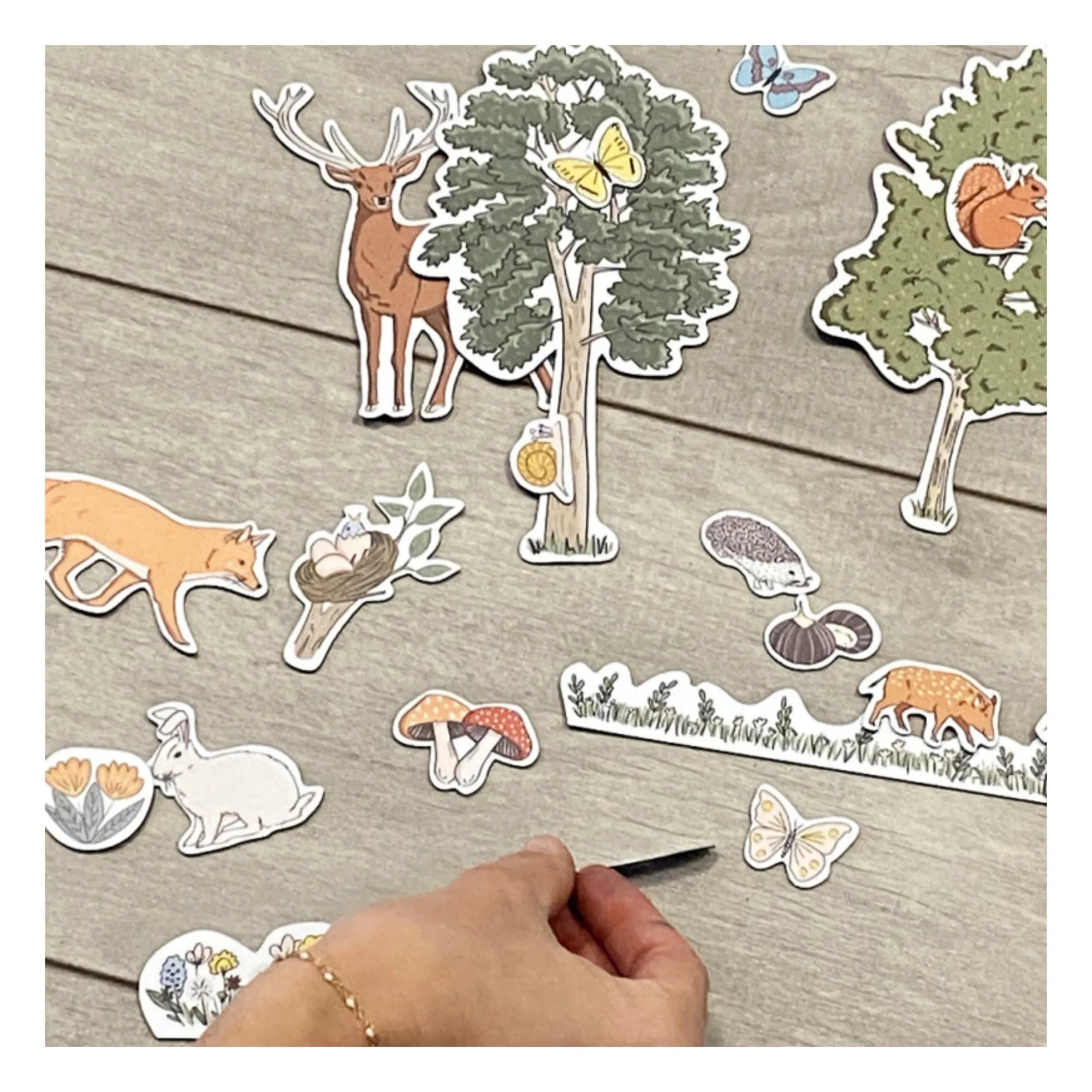 Ferflex - Forest Magnets - Set of 54