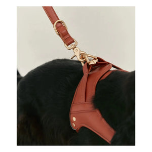 Cafide - Vegan Leather Dog Collar | Brown