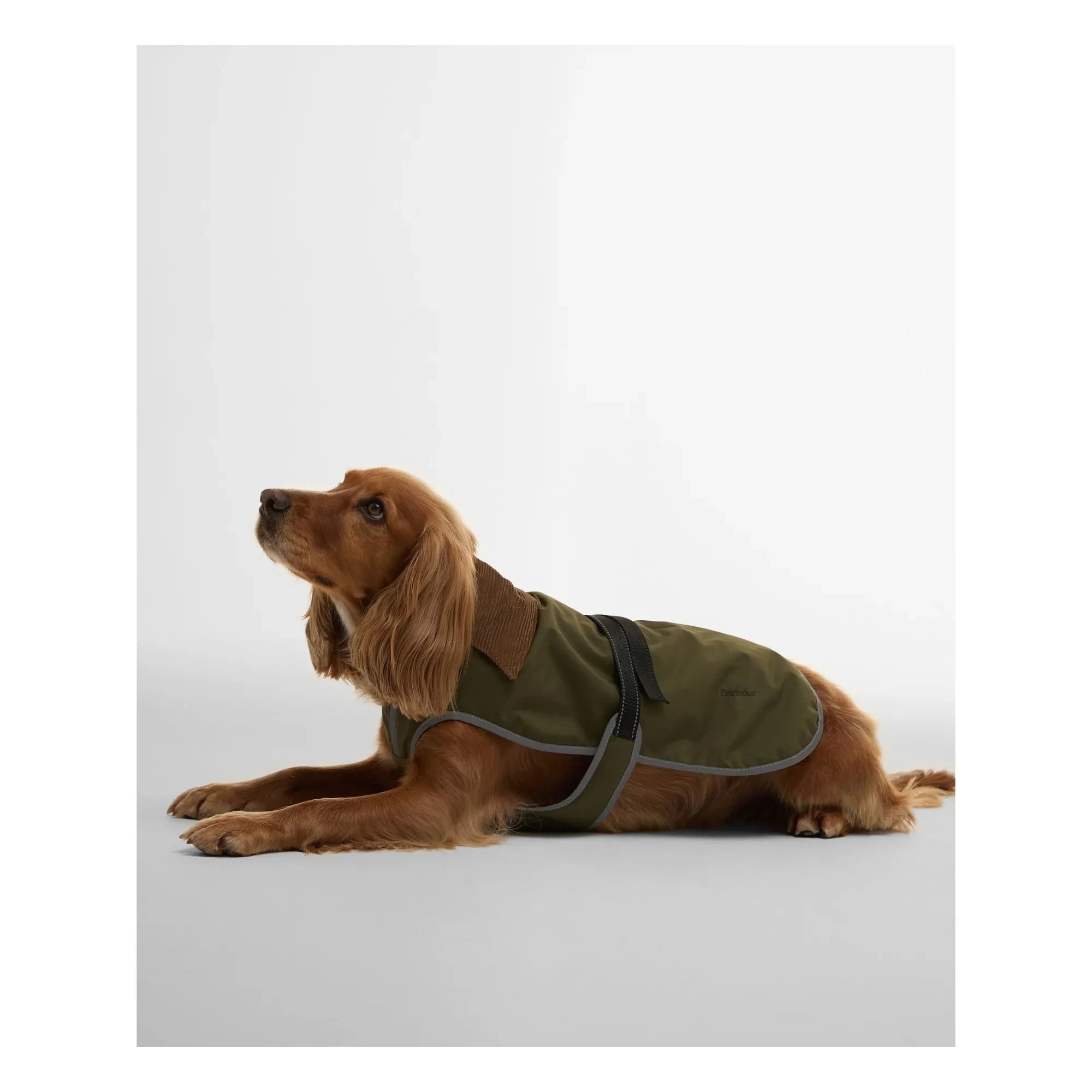 Barbour - Monmouth Waterproof Dog Coat | Olive