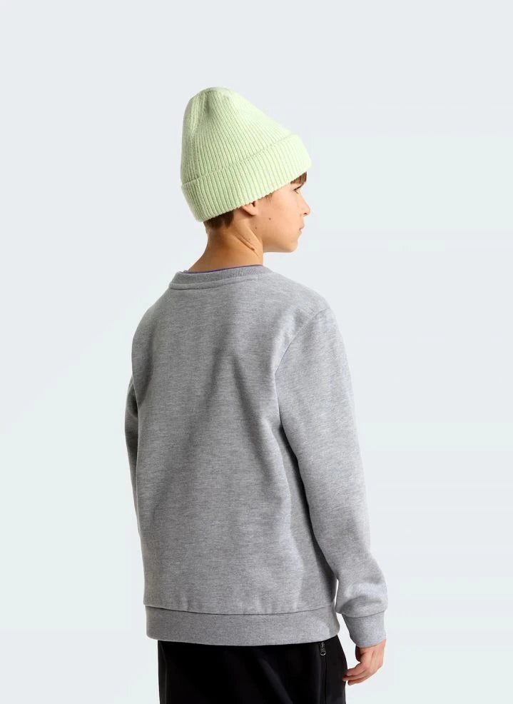 The North Face - Simple Done Sweatshirt | Grau meliert