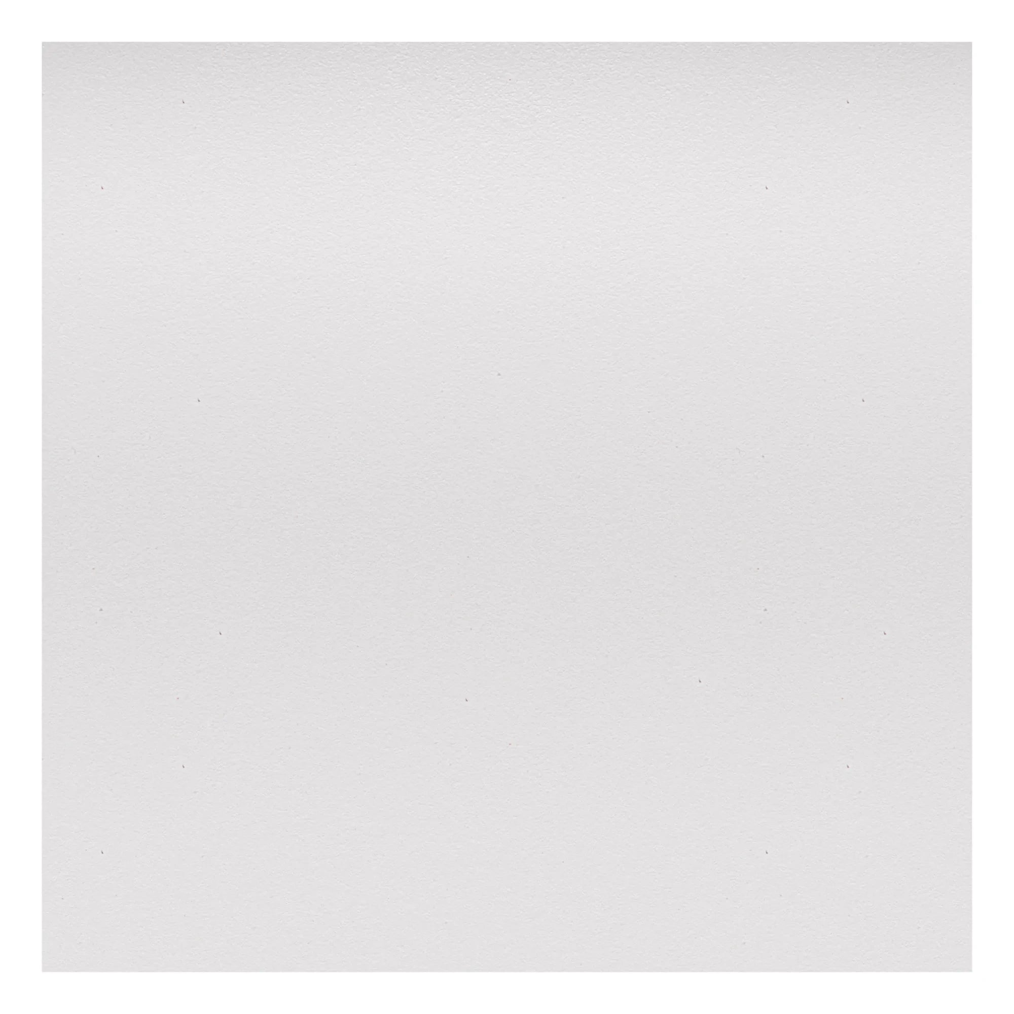 Vitra - DAW Chair - Beechwood Base - Charles & Ray Eames | White