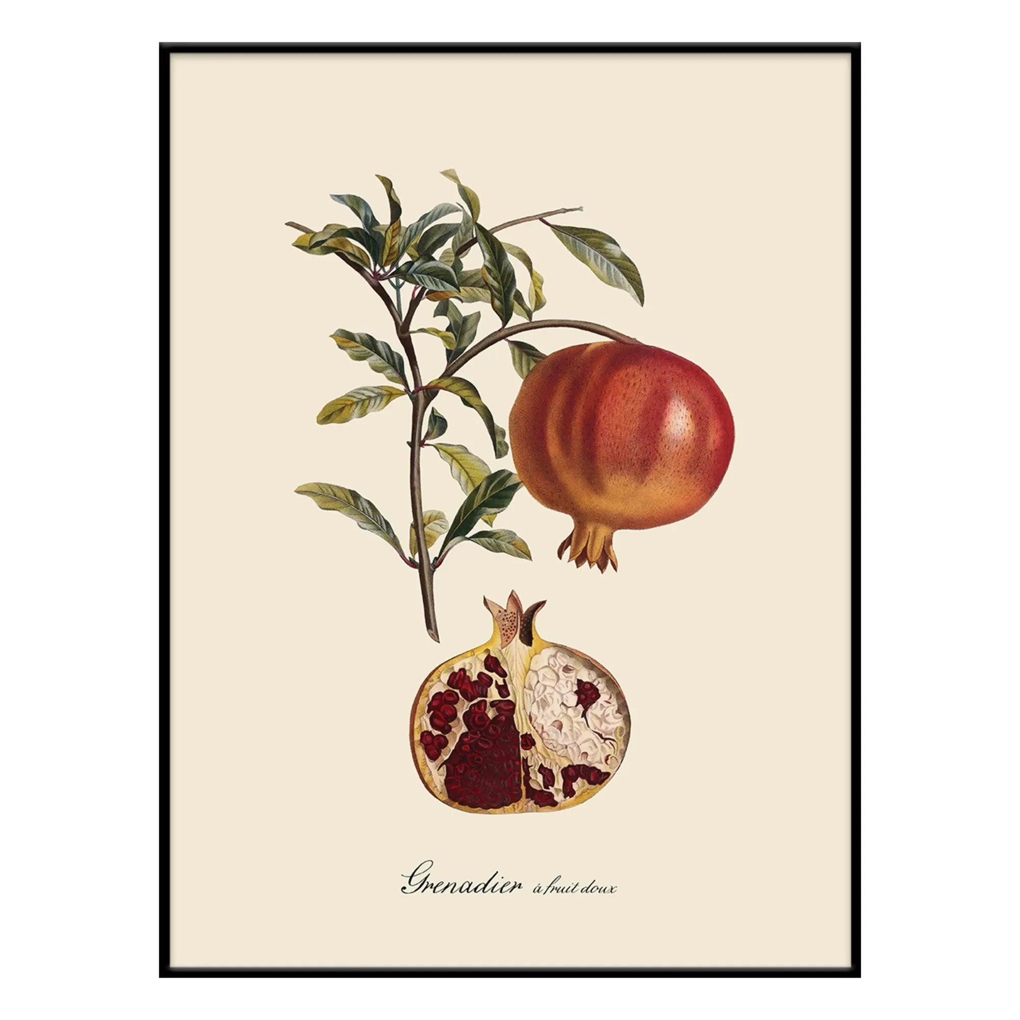 The Dybdahl Co. - Sweet Fruity Grenadier Poster