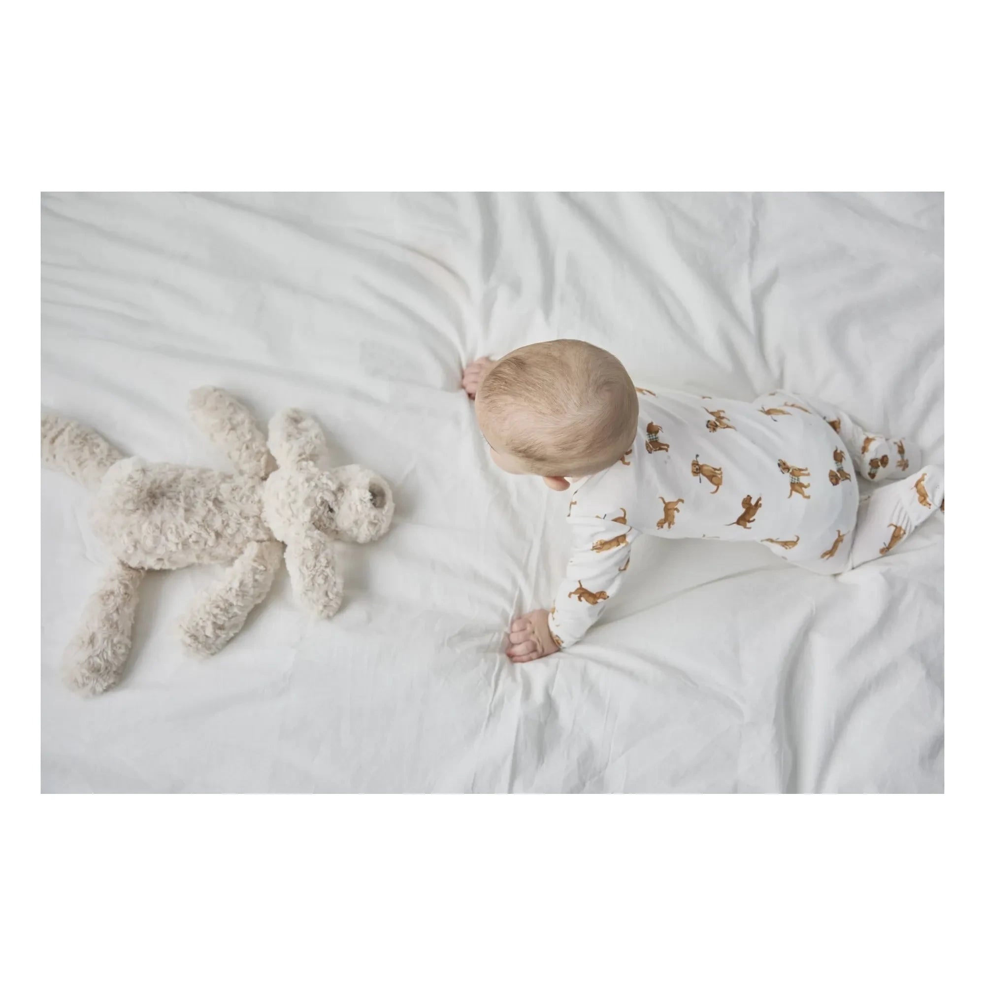 Petit Lem - Organic cotton and Modal pajamas, with dog paw details | White