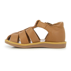 Pom d'Api - Poppy Daddy Sandale | Camel