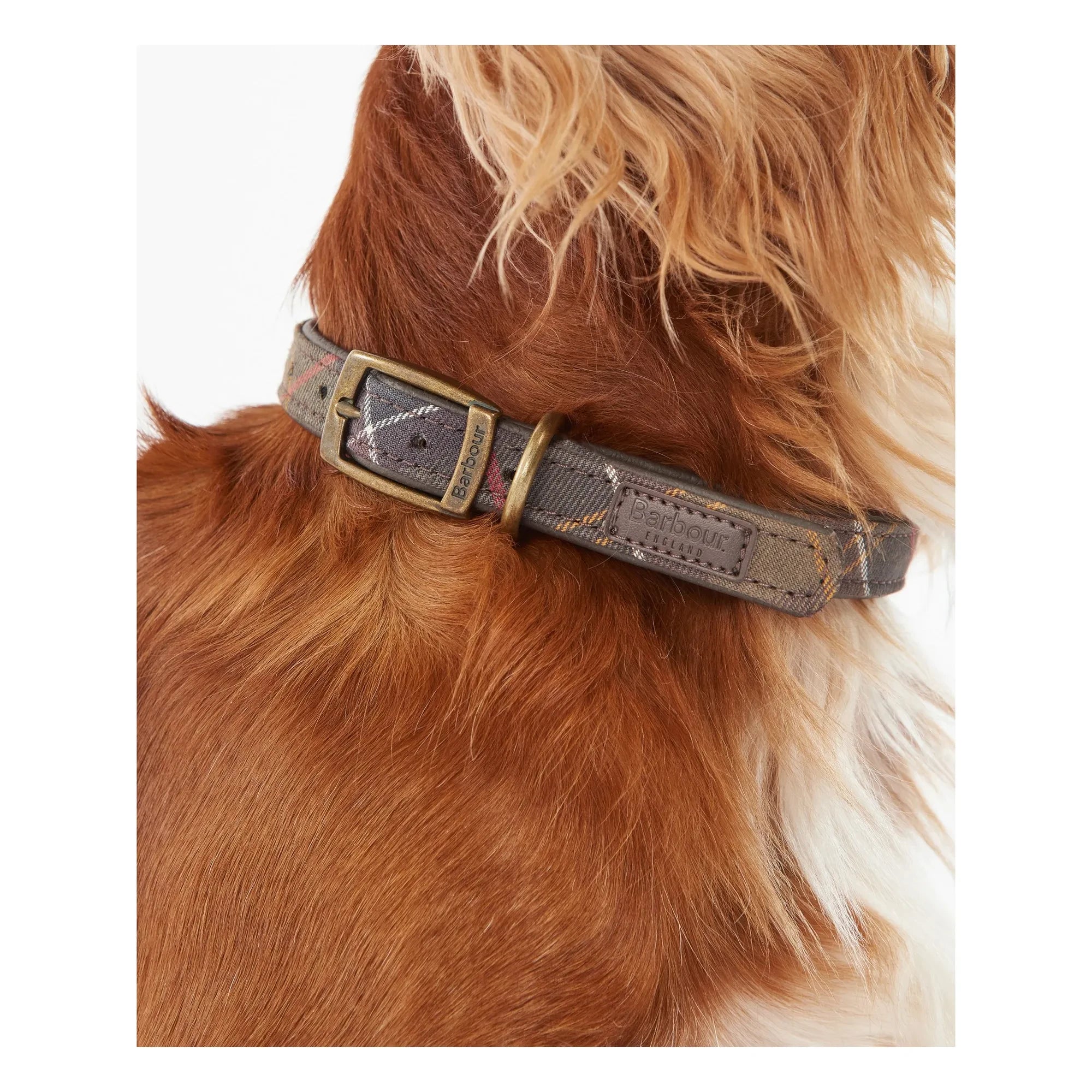 Barbour - Tartan Dog Collar | Dark Beige Brown