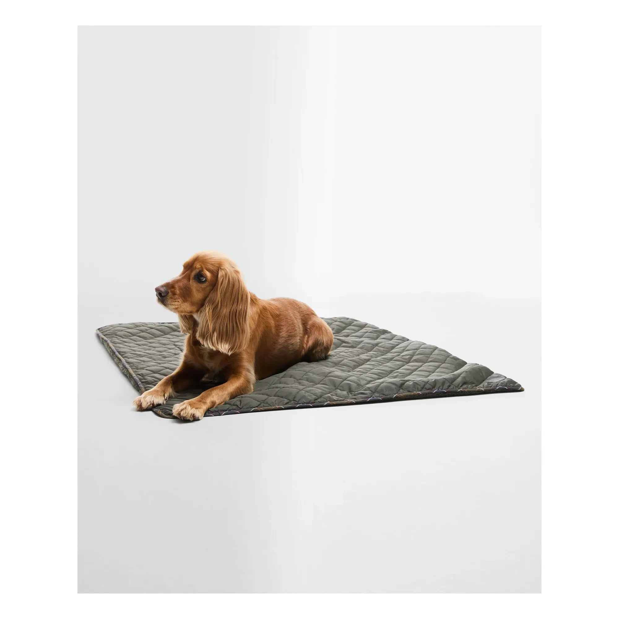 Barbour - Quilted dog blanket | Olive