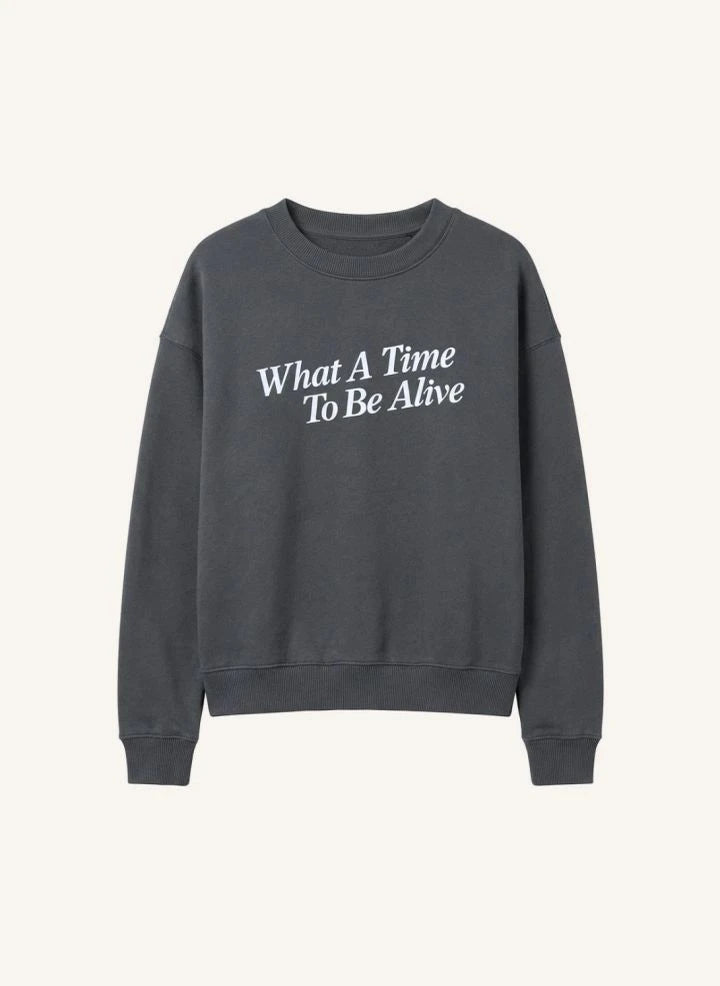 Cos I Said So - "What A Time" سويتشيرت قطن عضوي بياقة دائرية | رمادي