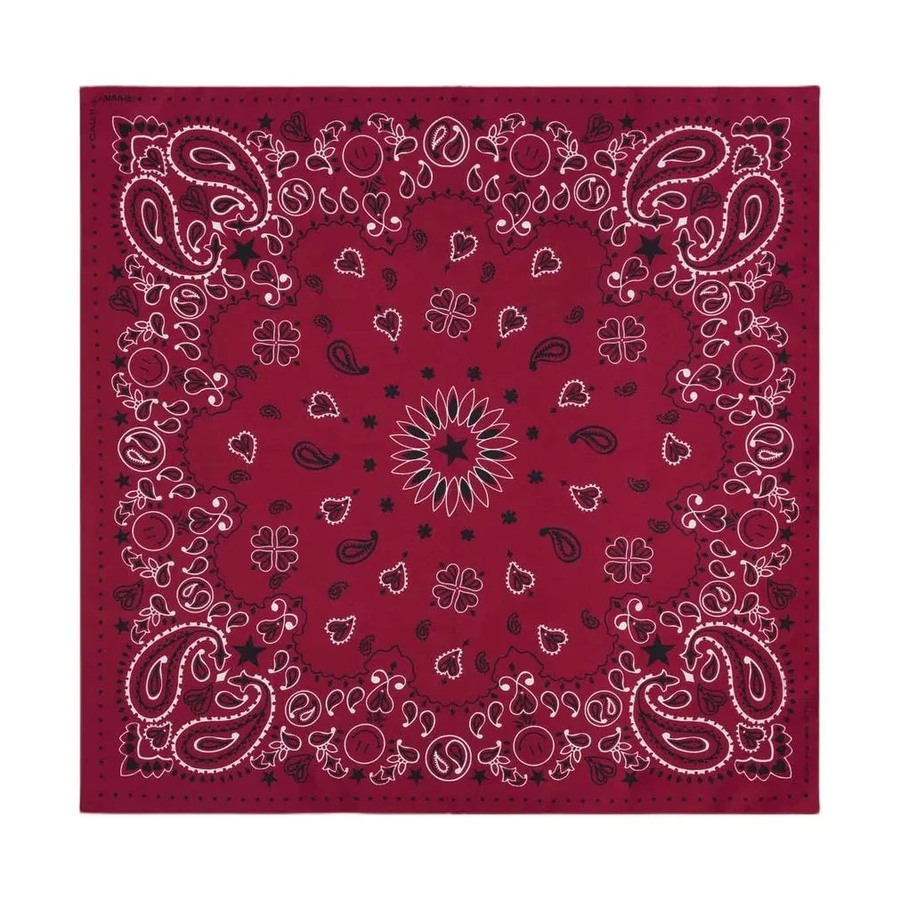 Llámalo por tu nombre - Bandana Pequeña Etoile Soie | Burdeos