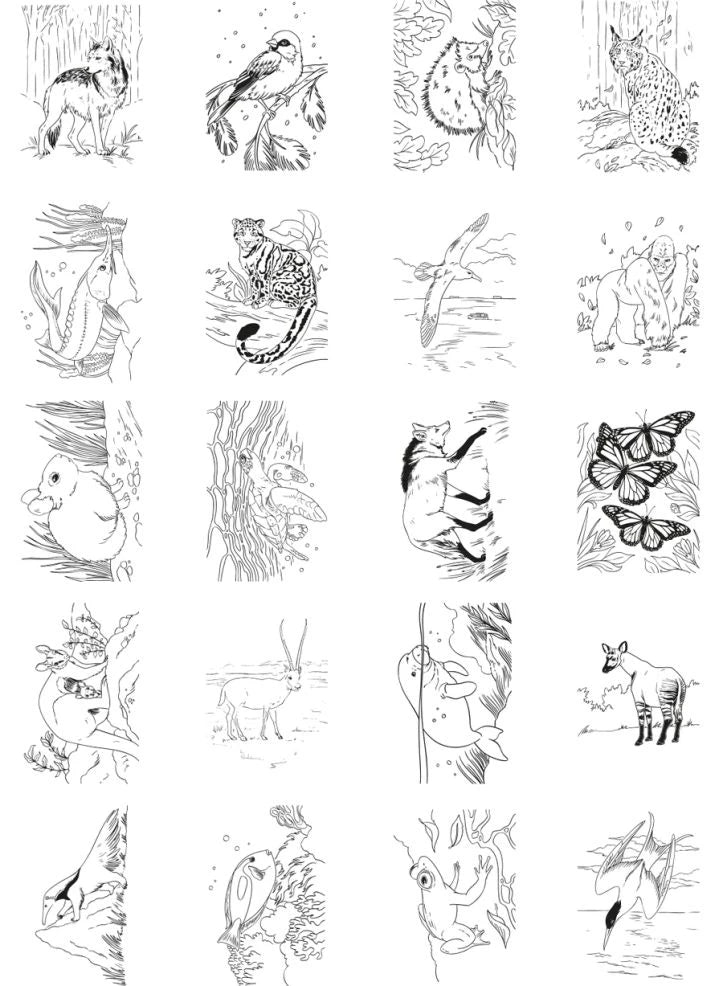 Kidywolf - Kidydraw Pad 8+ Çizim Tableti