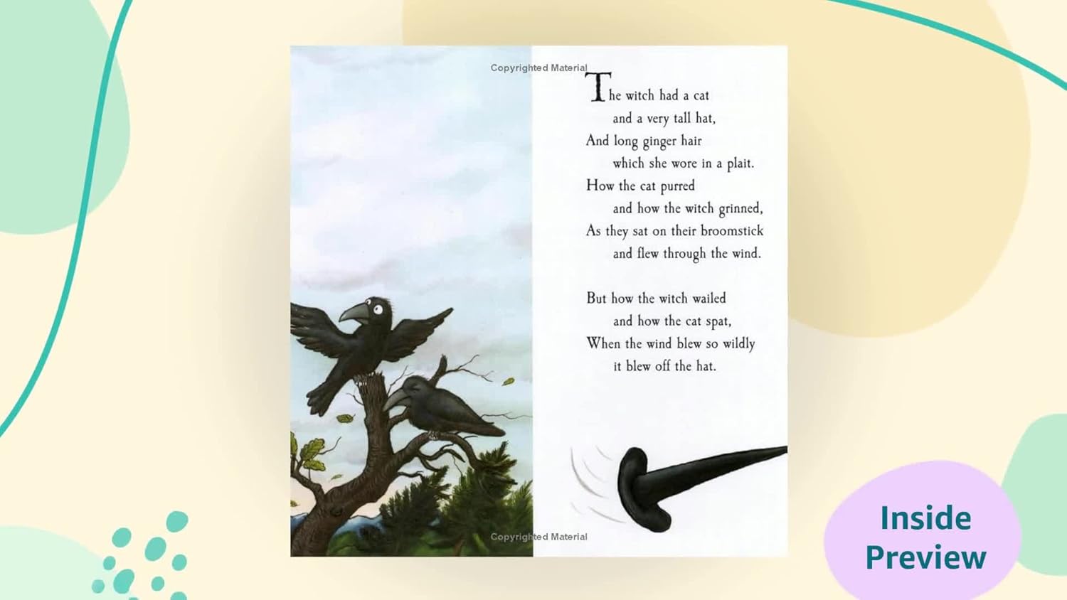 Pan Macmillan - Julia Donaldson und Axel Scheffler Room on the Broom Englisches Bilderbuch